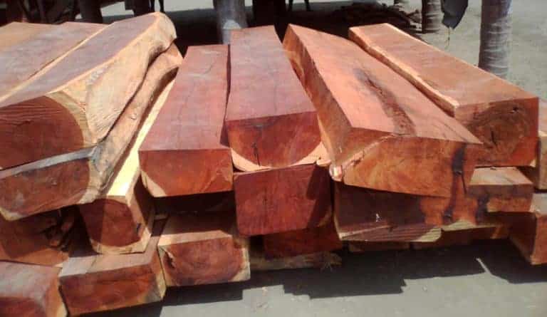 image Nhà Gỗ Hương Lào Sang Trọng Và Đẳng Cấp