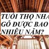 Tuổi Thọ Nhà Gỗ Lim Và Phương Pháp Kéo Dài Tuổi Thọ Nhà Gỗ