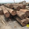 Nhà Gỗ Gõ Đỏ