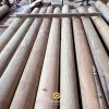 Tìm hiểu về các loại gỗ tự nhiên trong thiết kế, thi công nội thất