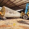Chia Sẻ Kinh Nghiệm Chọn & Xẻ Gỗ | Lim Châu Phi | Nhà Gỗ 5 Gian