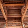 Kiến thức bạn nên biết: Rui mè là gì?
