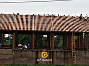 NHÀ 5 GIAN | GỖ LIM LÀO | CỦ CHI, HỒ CHÍ MINH.