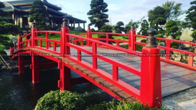 Tổng hợp những ý tưởng thiết kế nhà gỗ sân vườn đẹp nhất hiện nay