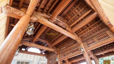 Tìm Hiểu Về Gỗ Lim Lào : Vị Vua Trong Làng Gỗ