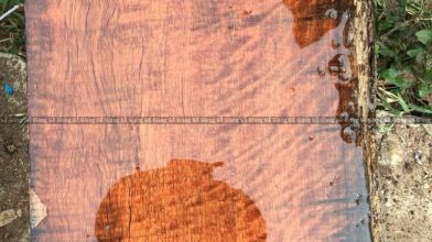 Cần bán Cột gỗ Hương Lào quý và hiếm