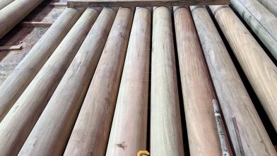 Tìm hiểu về các loại gỗ tự nhiên trong thiết kế, thi công nội thất