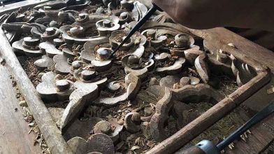 Đôi điều về nghề chạm khắc gỗ ở Việt Nam